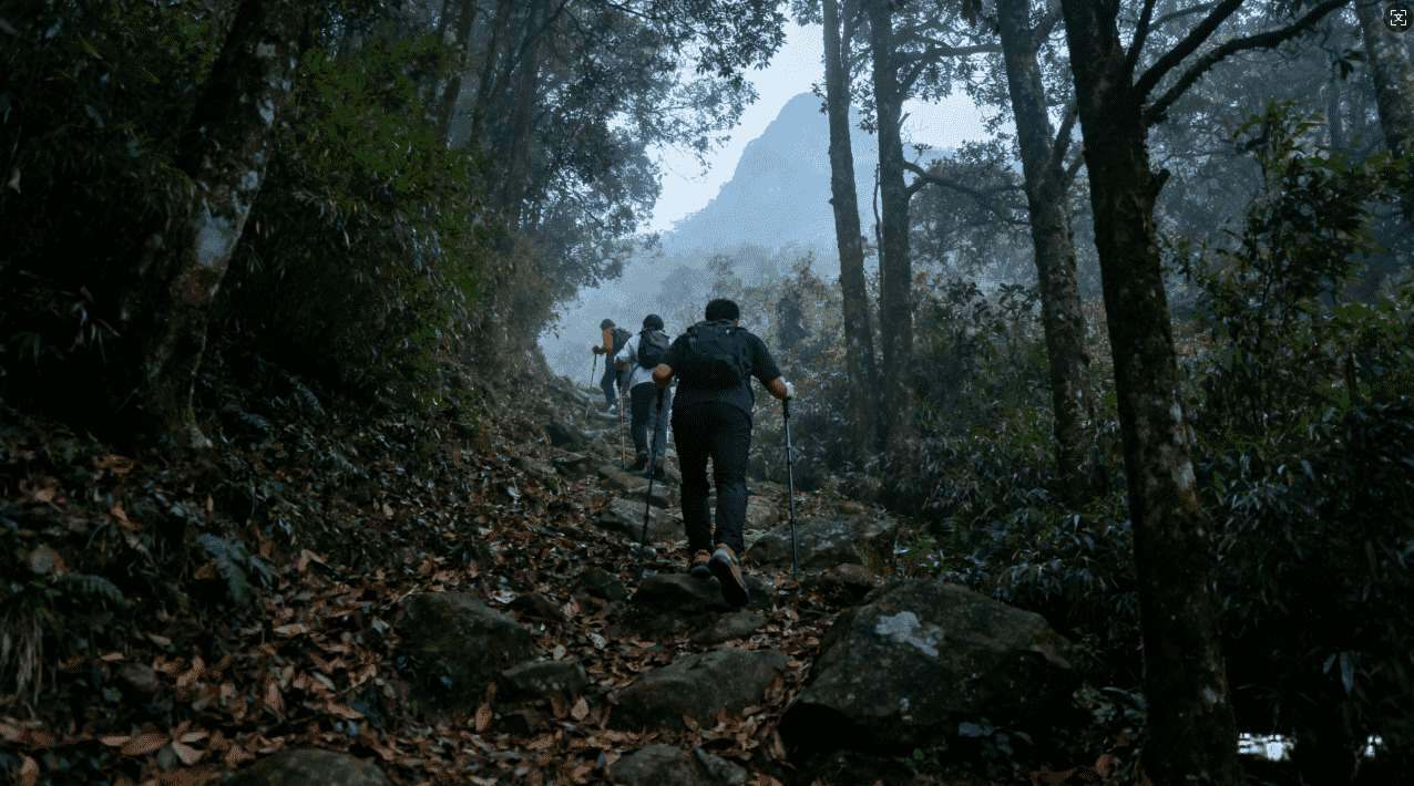 破解网络慢速难题的开心芒果加速器指南